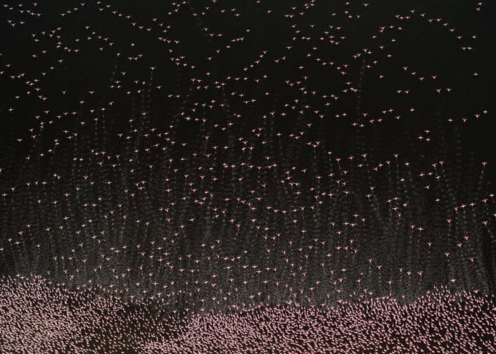 fine art wildlife photographer - Patterns of Pink