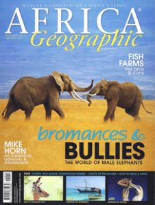 published african wildlife photographers - cover photo by south african wildlife photographer greg du toit