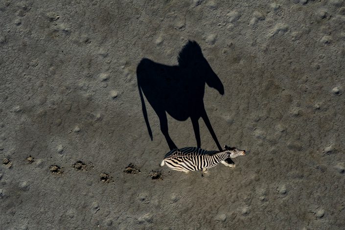 A Botswana private photo safari includes an aerial photography safari like this picture of a Makgadigadi pan helicopter photo safari.