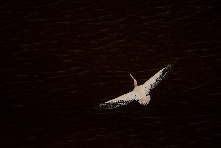 lake magadi photo safari