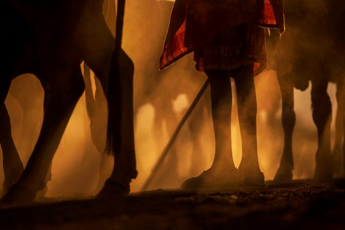 maasai cultural photography