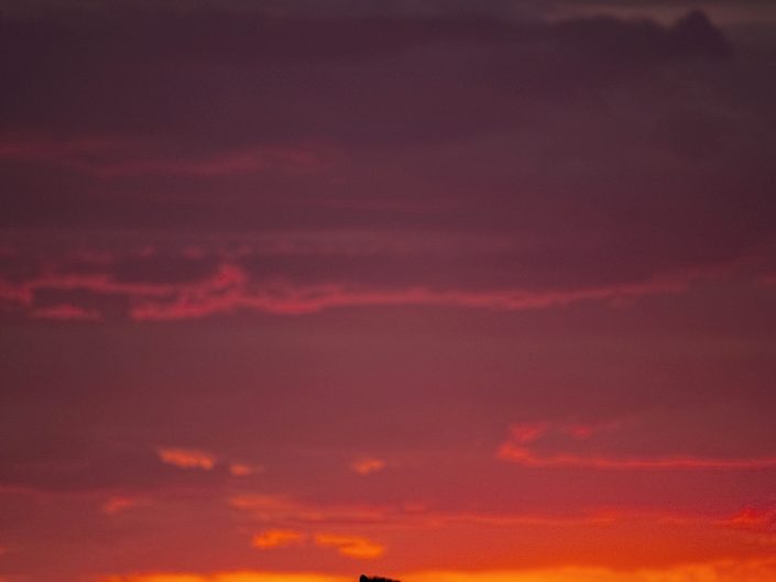 Masai Mara photo safari - zebra silhouette
