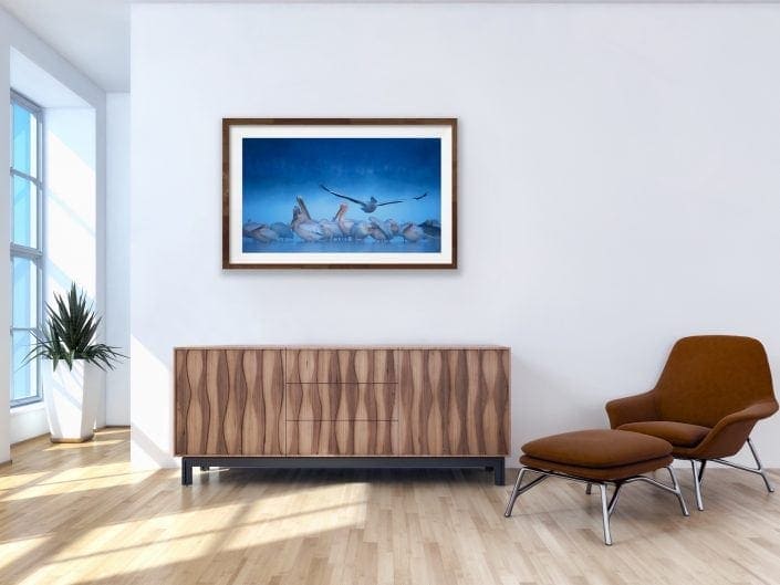 fine art wildlife photography - pelicans in the mist