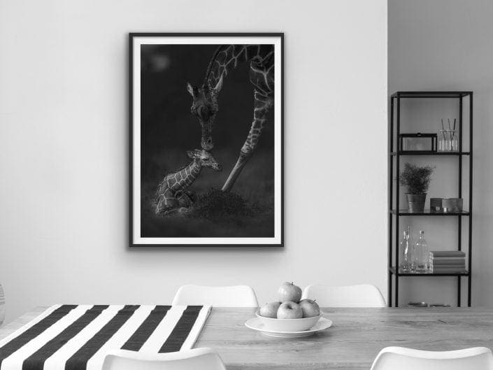 african wildlife prints - a mother giraffe bends down and kisses her babies head (black and white).