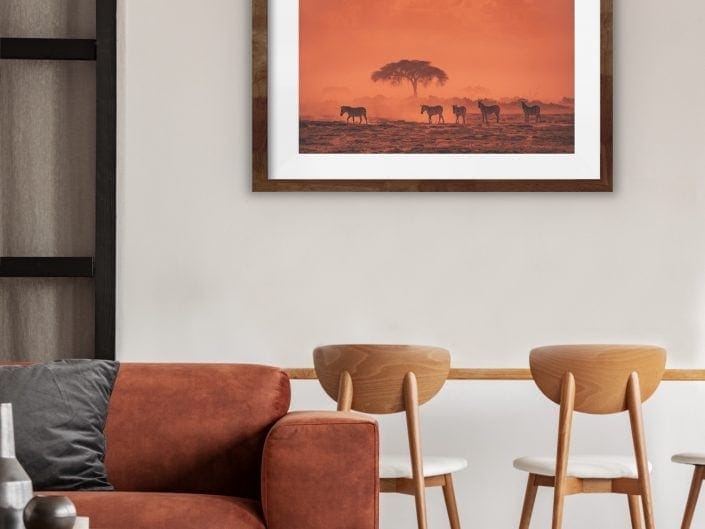 fine art wildlife photographer - a herd of zebra at sunset