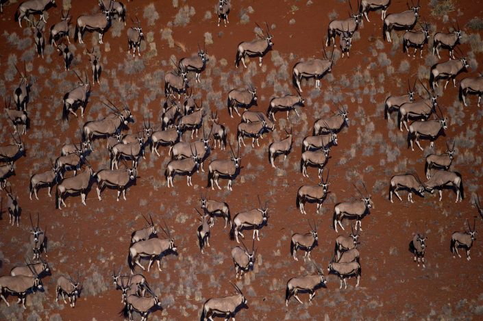 africa helicopter photo safari