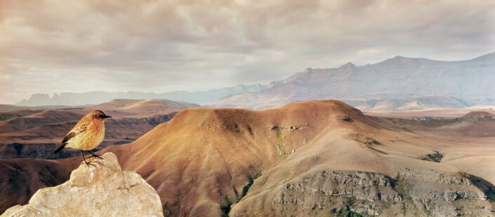 pano photography - Drakensberg Chat