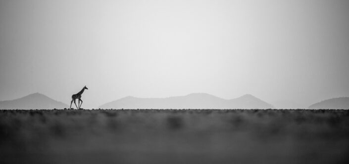 panoramic photography prints - Keep Walking