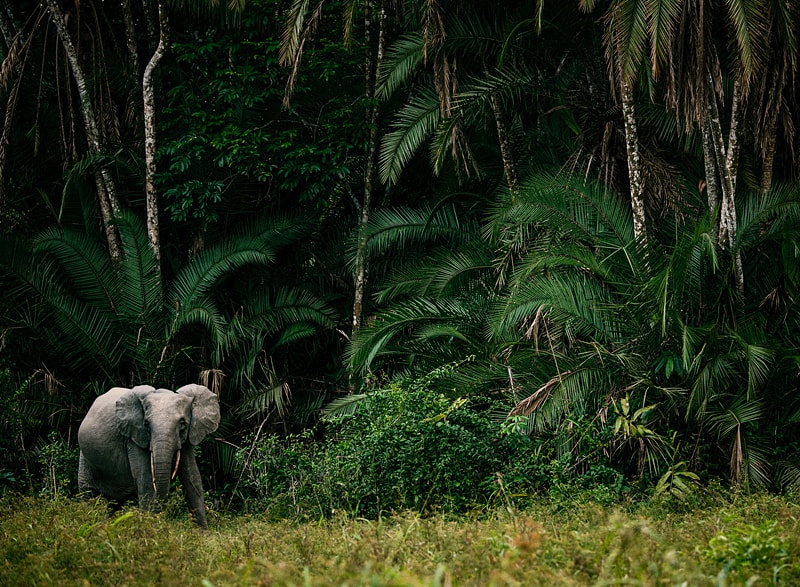 What to pack for a safari 