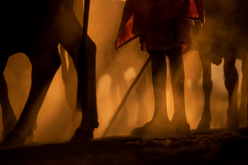 packing camera gear for safari