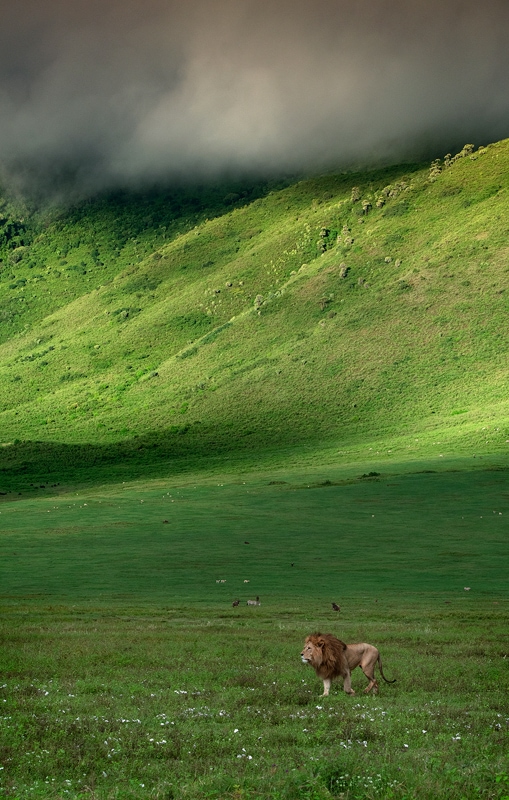 African photography safari tips