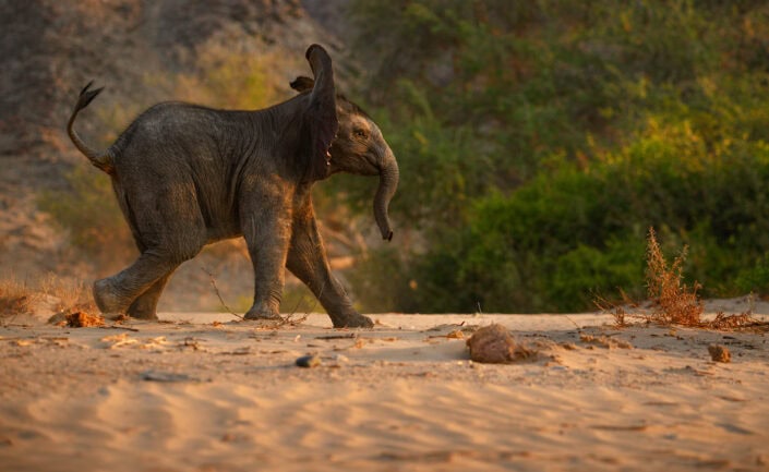 photograph from the Namibia Skeleton Coast