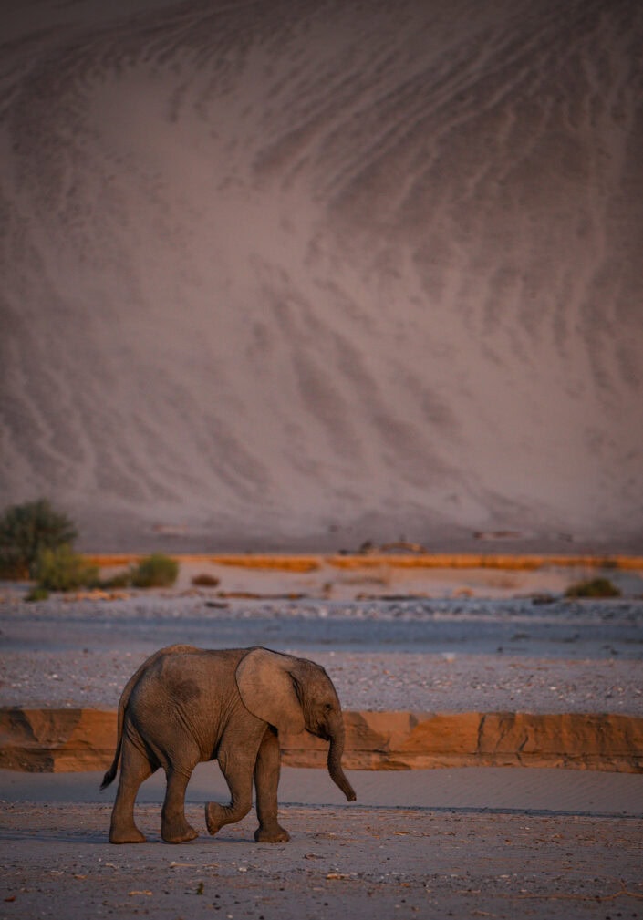 photograph from the Namibia Skeleton Coast