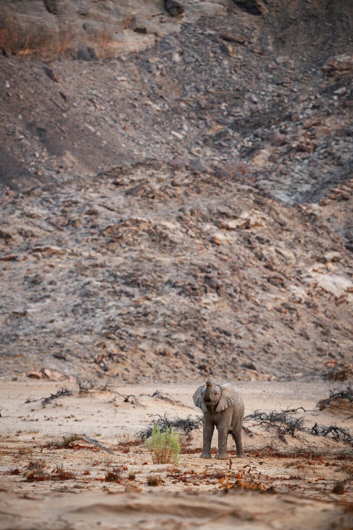 photograph from the Namibia Skeleton Coast
