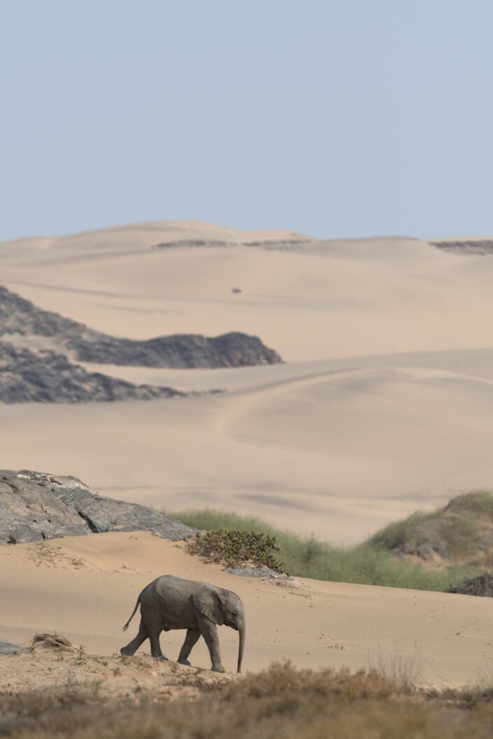 photograph from the Namibia Skeleton Coast