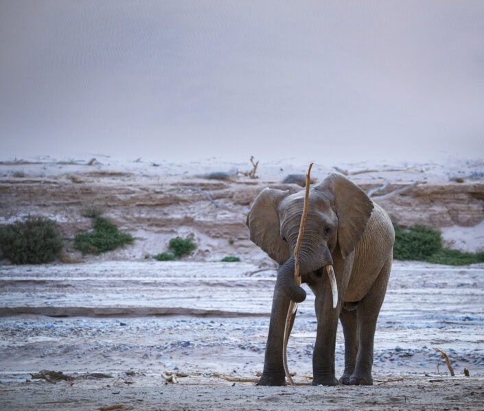 photograph from a Namibia photo safari