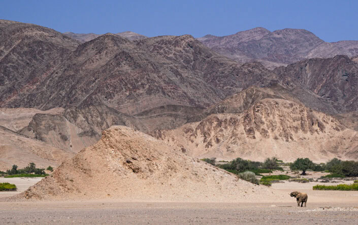 photograph from the Namibia Skeleton Coast