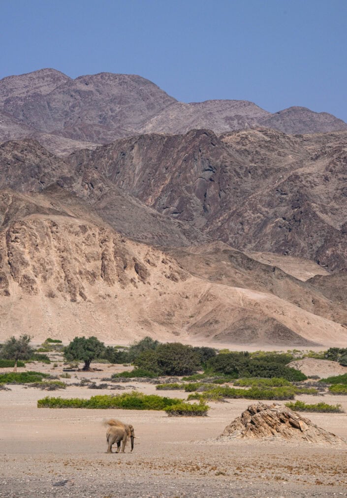 photograph from the Namibia Skeleton Coast