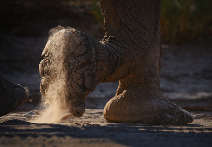 photograph from a Namibia photo safari