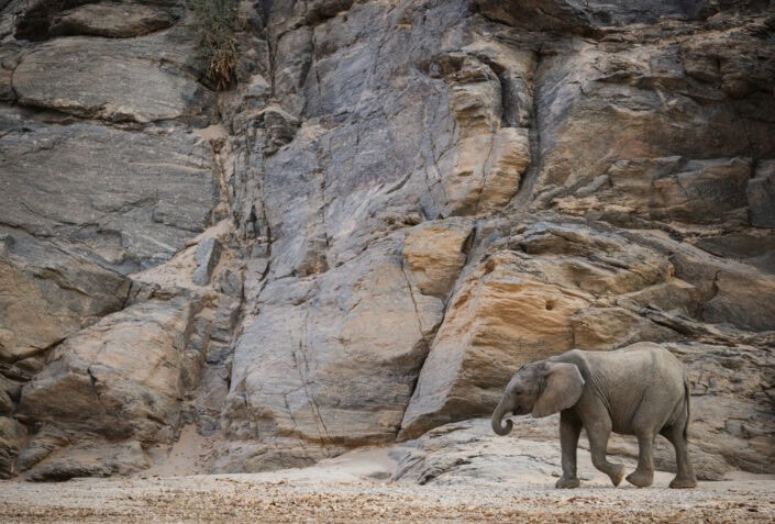 photograph from Namibia's Hoanib River
