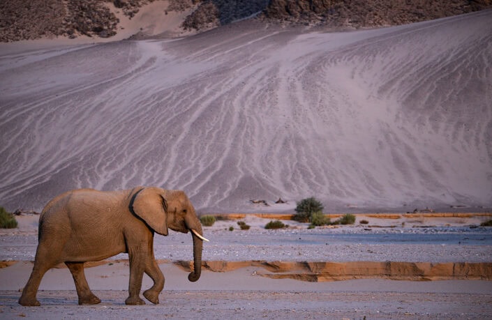 photograph from Namibia's Kaokoveld