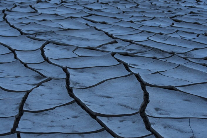 photograph from the Namib desert